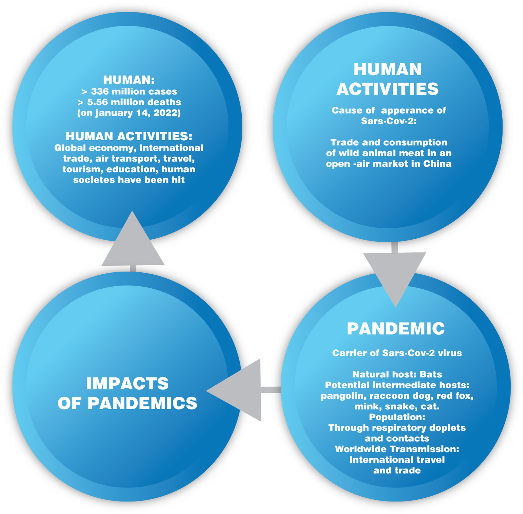 Human Activities And Zoonotic Epidemics: A Two-way Relationship. The ...