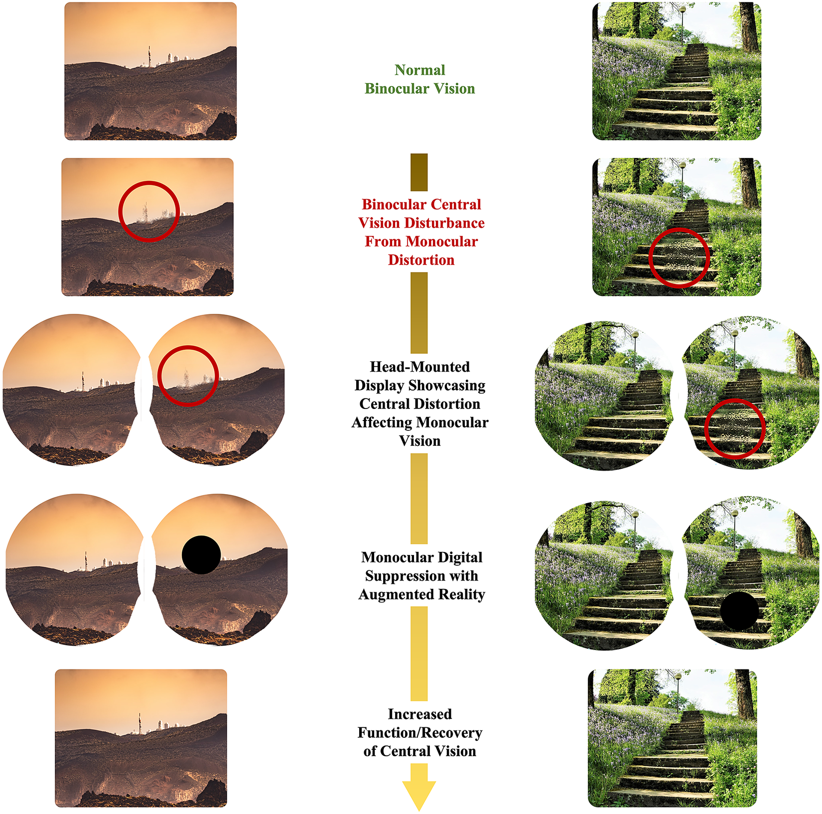 Amsler Grid Vision Tests & Visual Acuity Tests - New England Low Vision