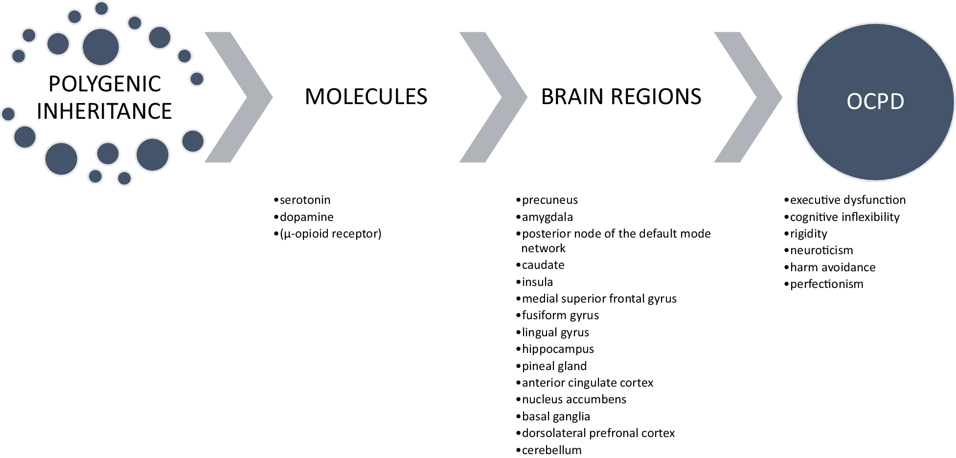The neurobiology of obsessive–compulsive personality disorder: a ...