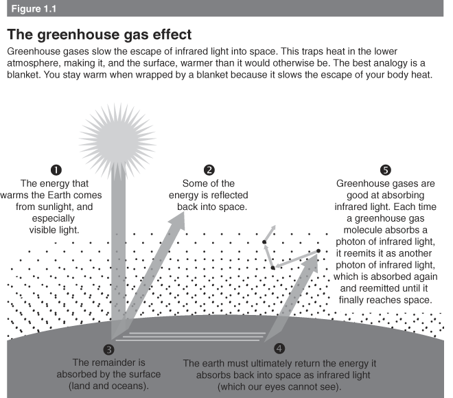 Background (Part I) - The Climate Crisis