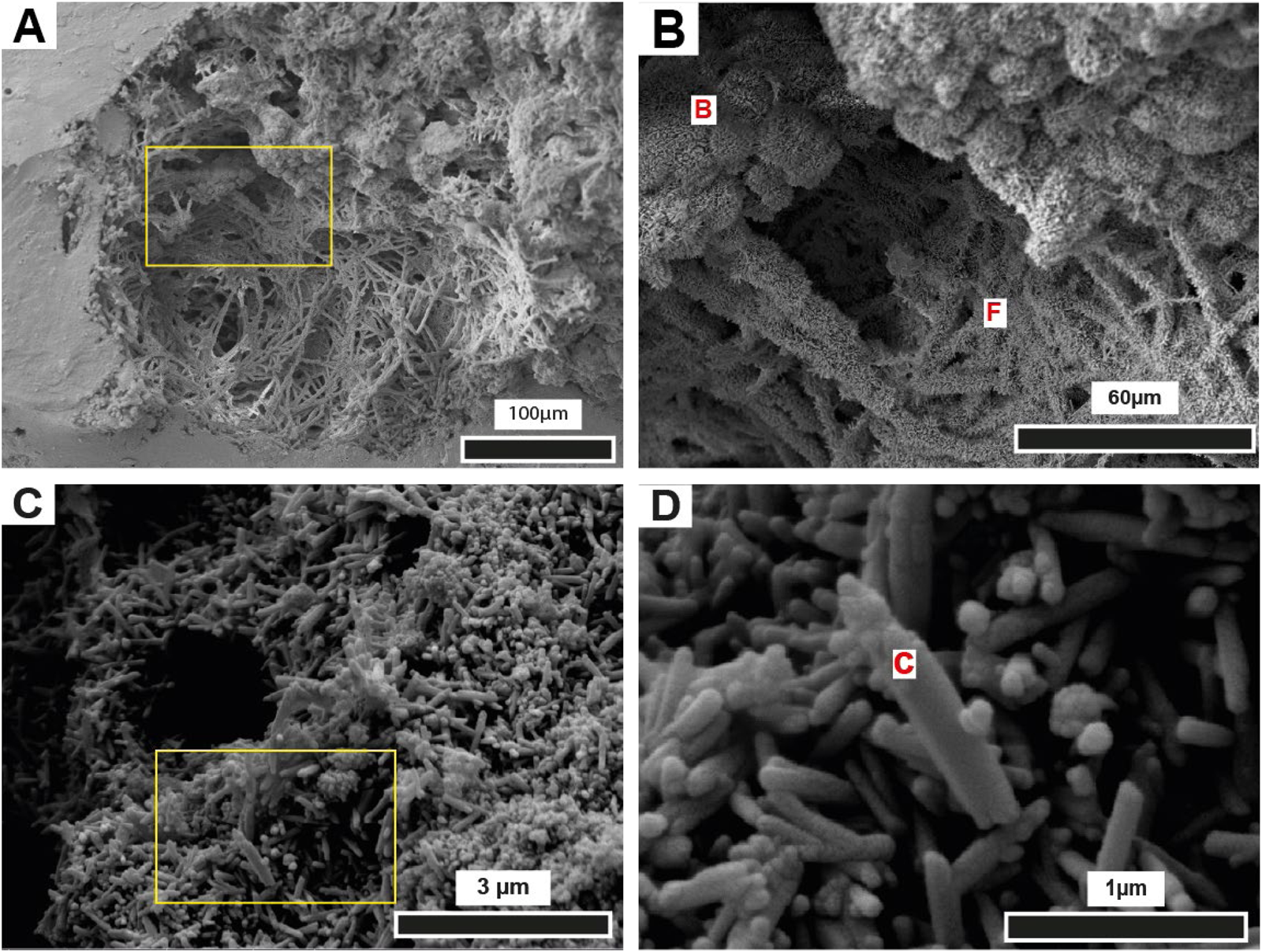 Quaternary ironstones in the Xingu River, eastern ia (Brazil), Quaternary Research