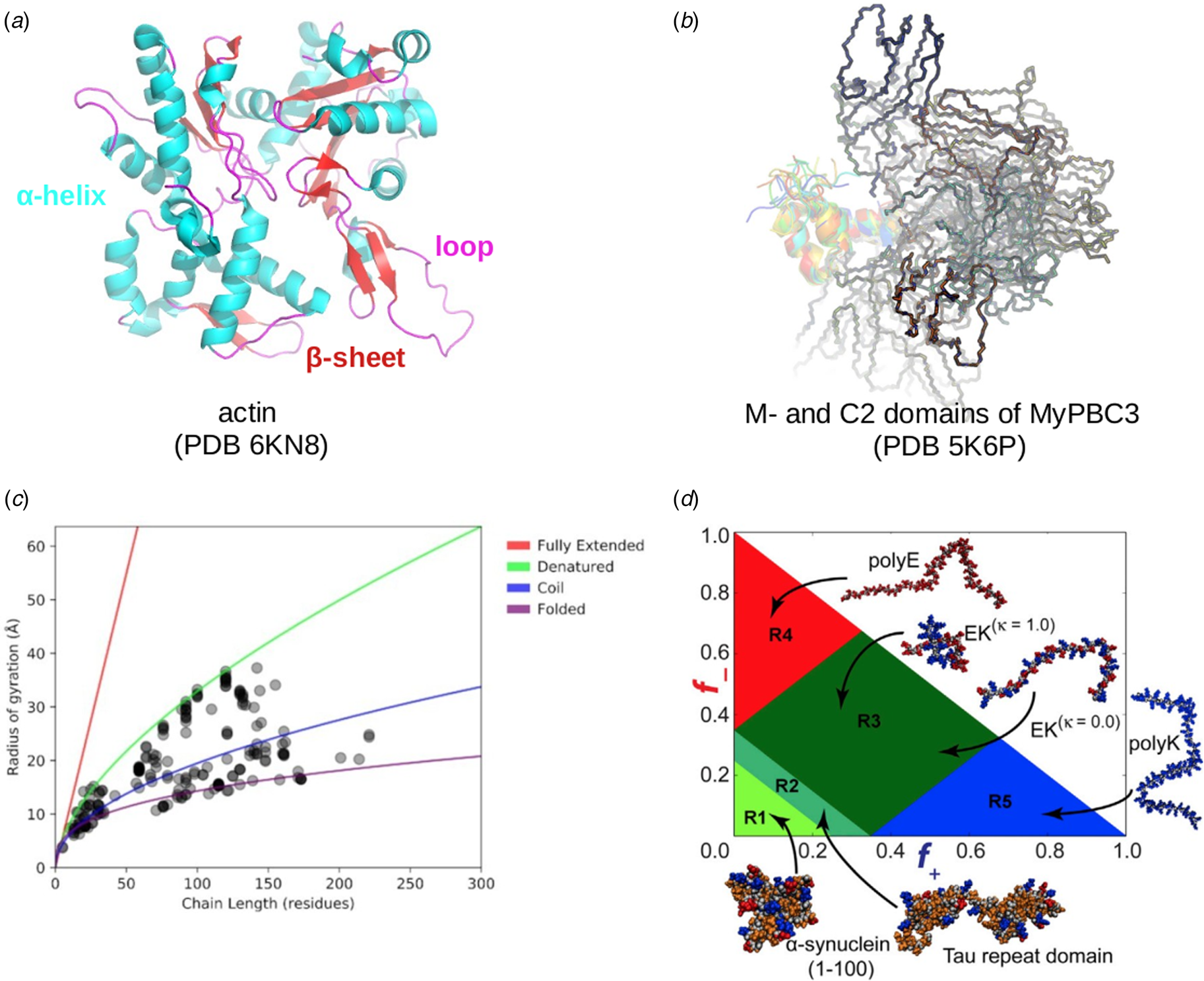 Myofilament-associated proteins with intrinsic disorder (MAPIDs