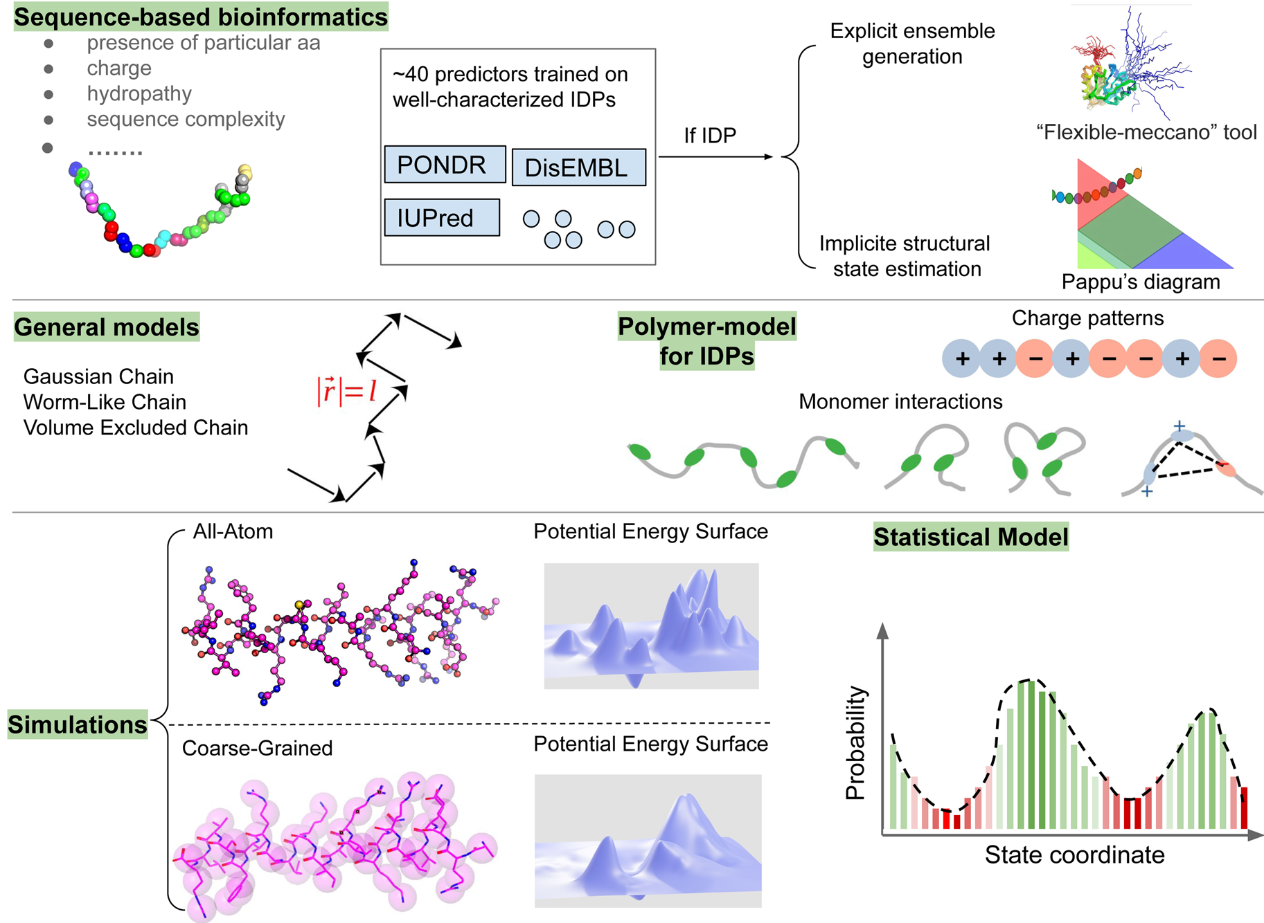 Dynamics and Calcium Association to the N-Terminal Regulatory Domain of  Human Cardiac Troponin C: A Multiscale Computational Study