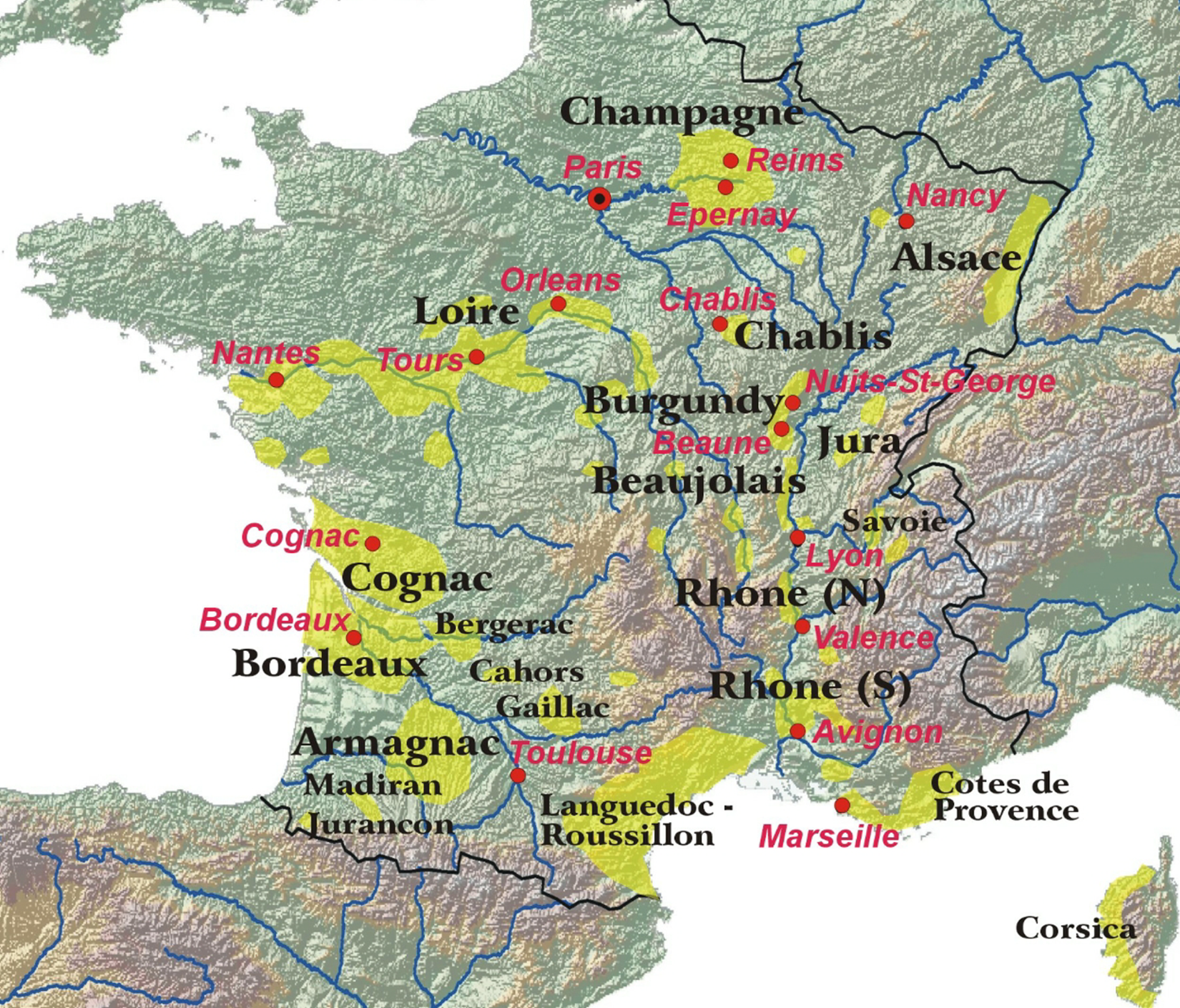 Pommard Les Bertins, Burgundy - France Wine Region