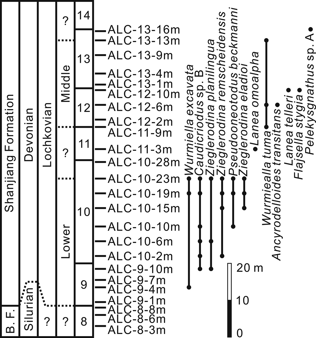 Lochkovian (Lower Devonian) conodonts from the Alengchu