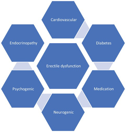 Erection Emission and Ejaculation Chapter 5 Infertility in