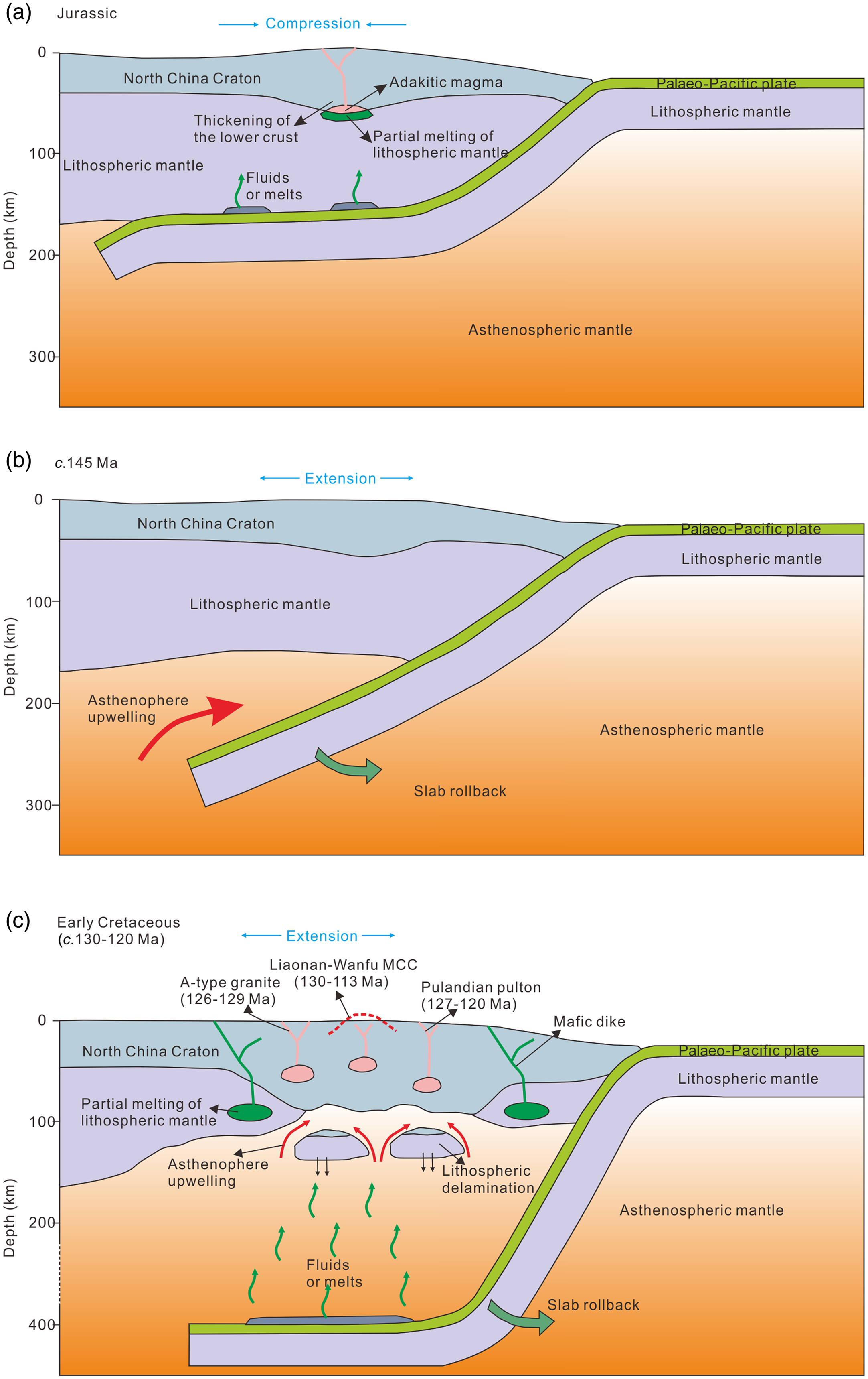 Petrogenesis of Early Cretaceous adakites from the Liaodong 