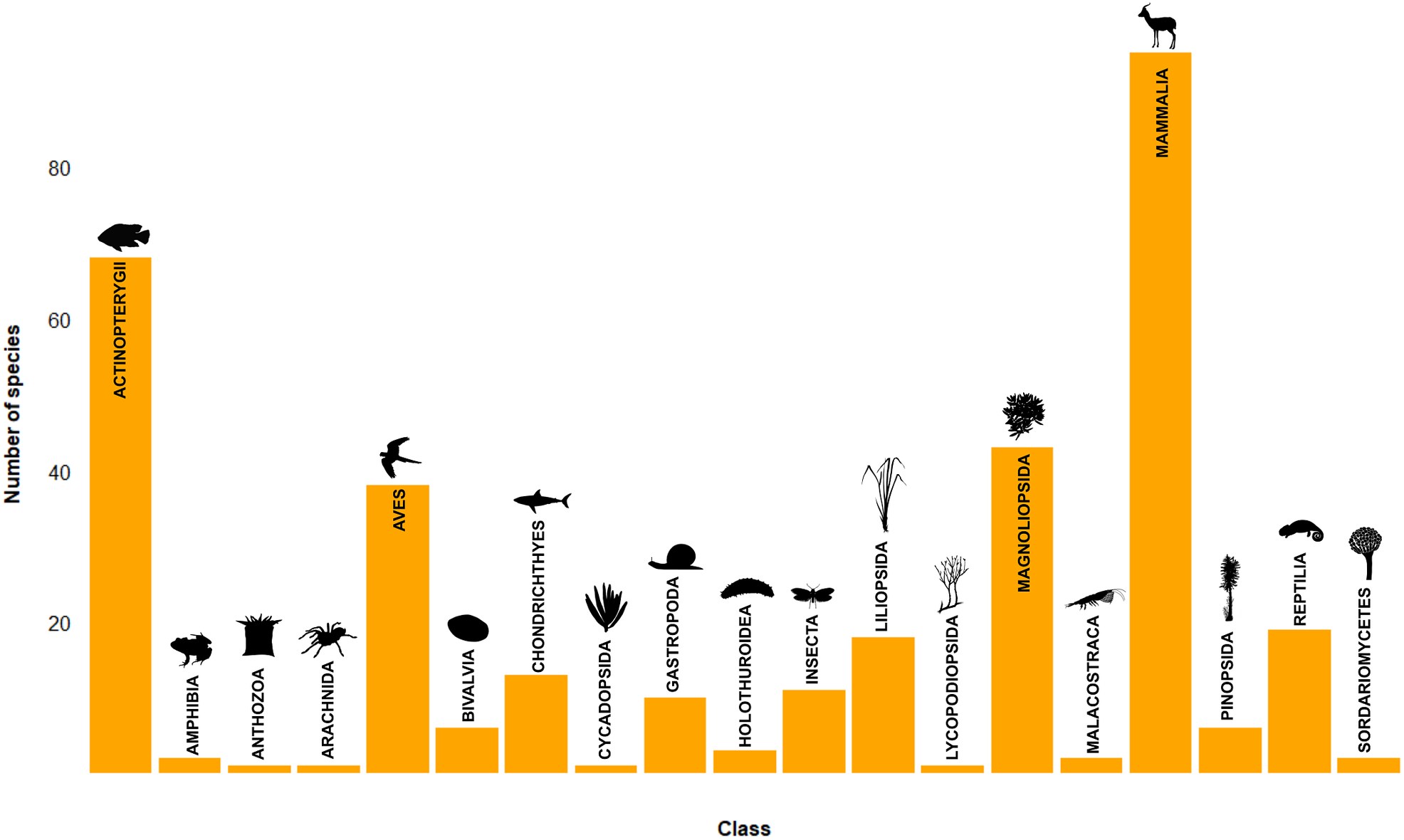 Trading Species To Extinction: Evidence Of Extinction Linked To The ...