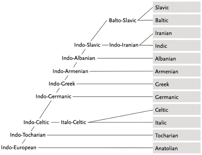 Migratory Processes and Linguistic Dispersals between Yamnaya and