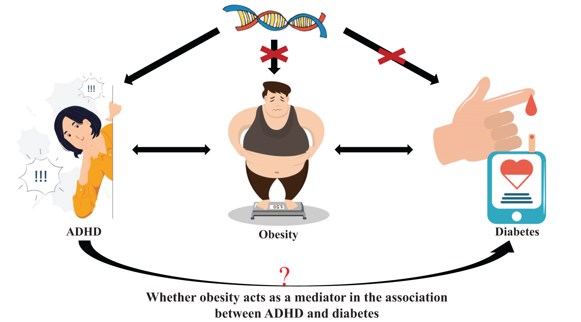 Roles of obesity in mediating the causal effect of attention ...