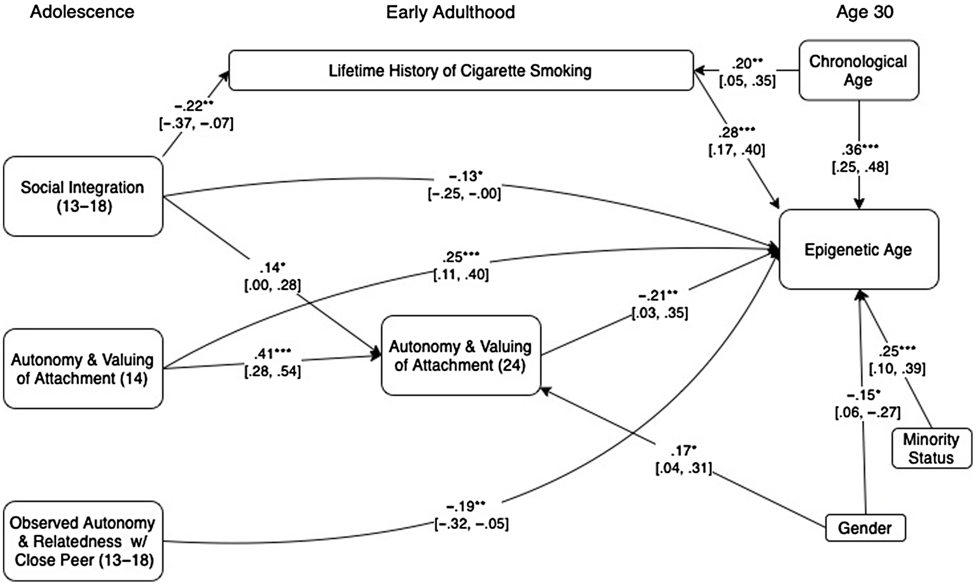 Adolescent peer struggles predict accelerated epigenetic aging in midlife |  Development and Psychopathology | Cambridge Core