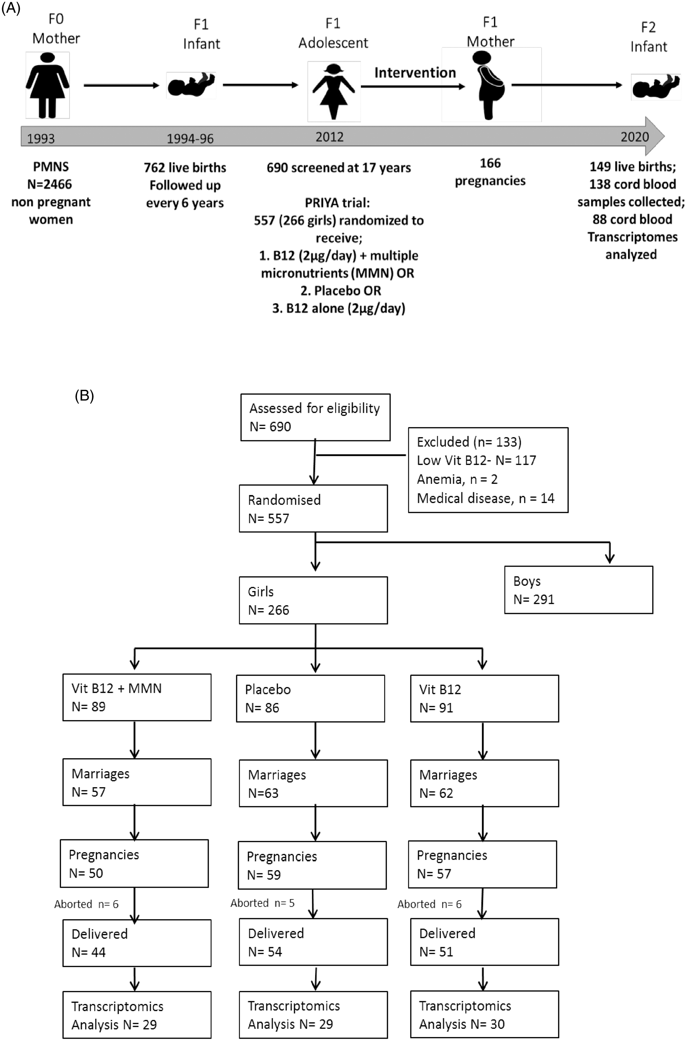 Clinical study design and organization. (A) Consort diagram. (B) Study
