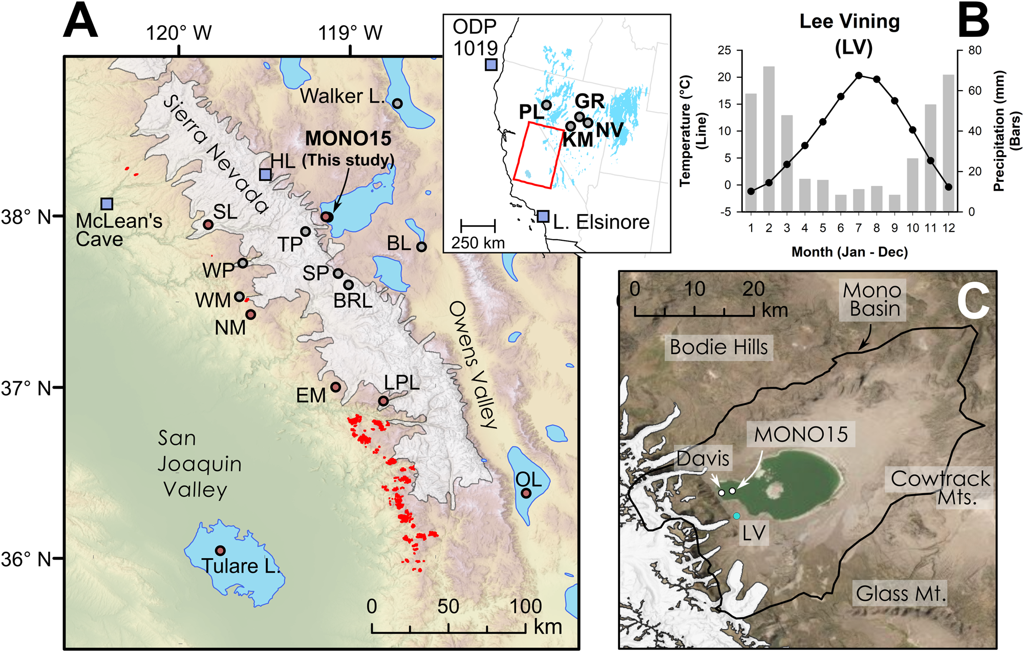 Terrestrial ecosystem transformations in response to rapid climate