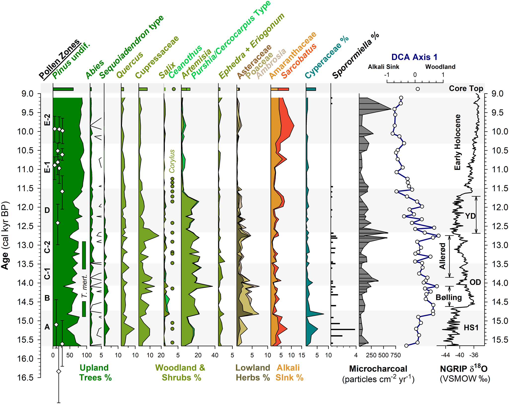 Terrestrial ecosystem transformations in response to rapid climate