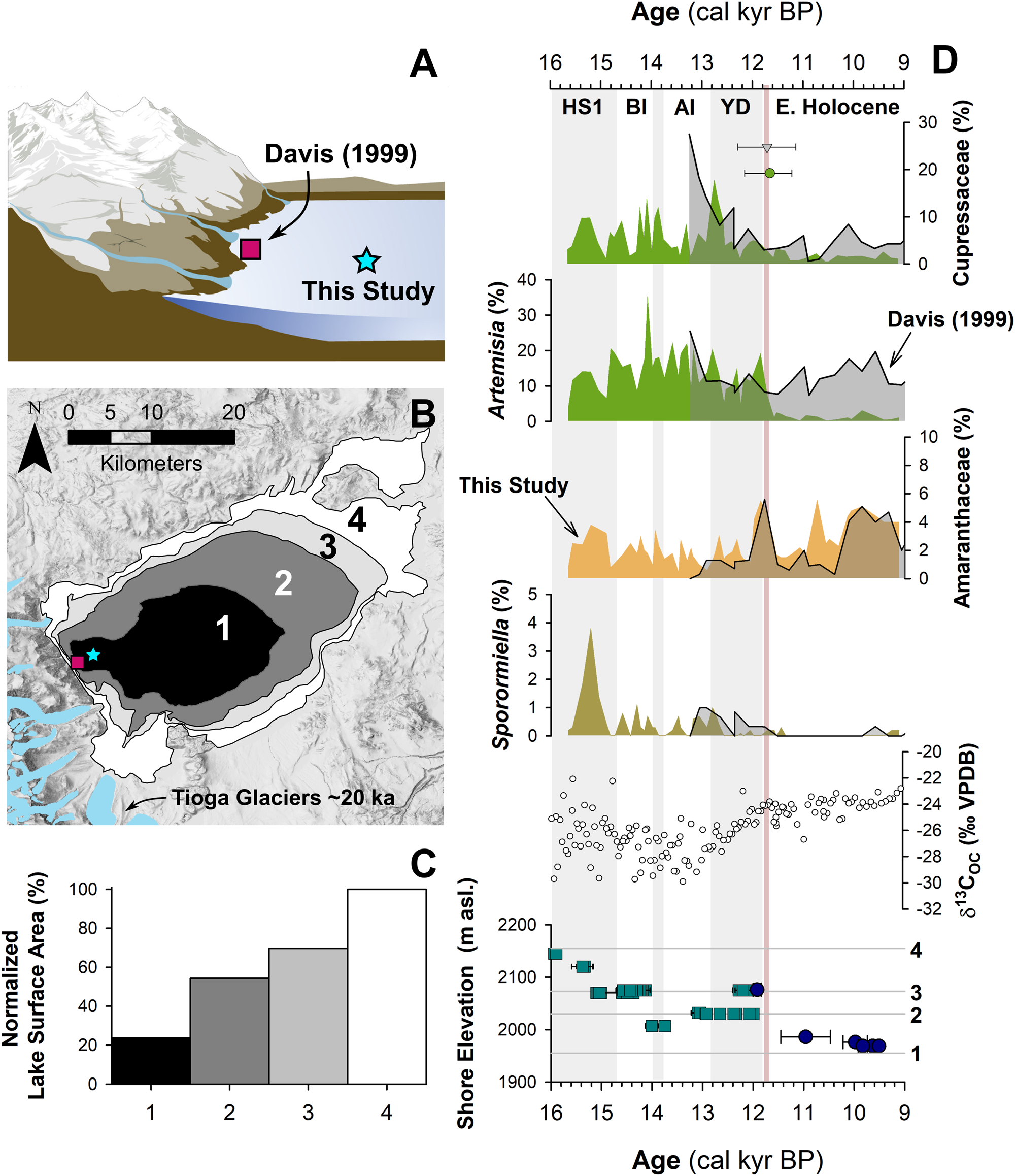 Terrestrial ecosystem transformations in response to rapid climate