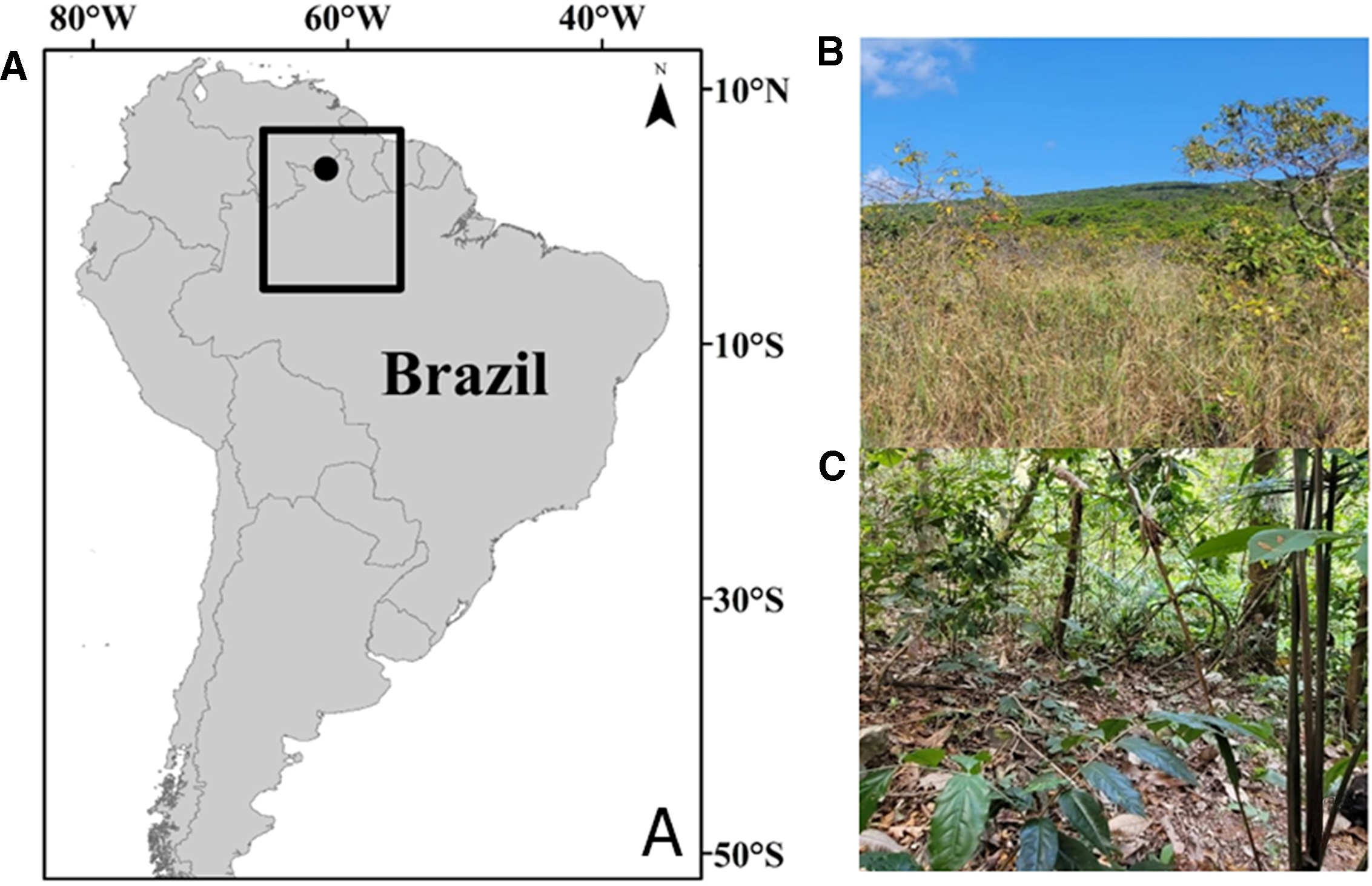 Insights into dung beetle (Coleoptera Scarabaeidae Scarabaeinae) distribution along an elevational gradient in a tepui table-top mountain in the Brazilian Amazon The Canadian Entomologist Cambridge Core photo