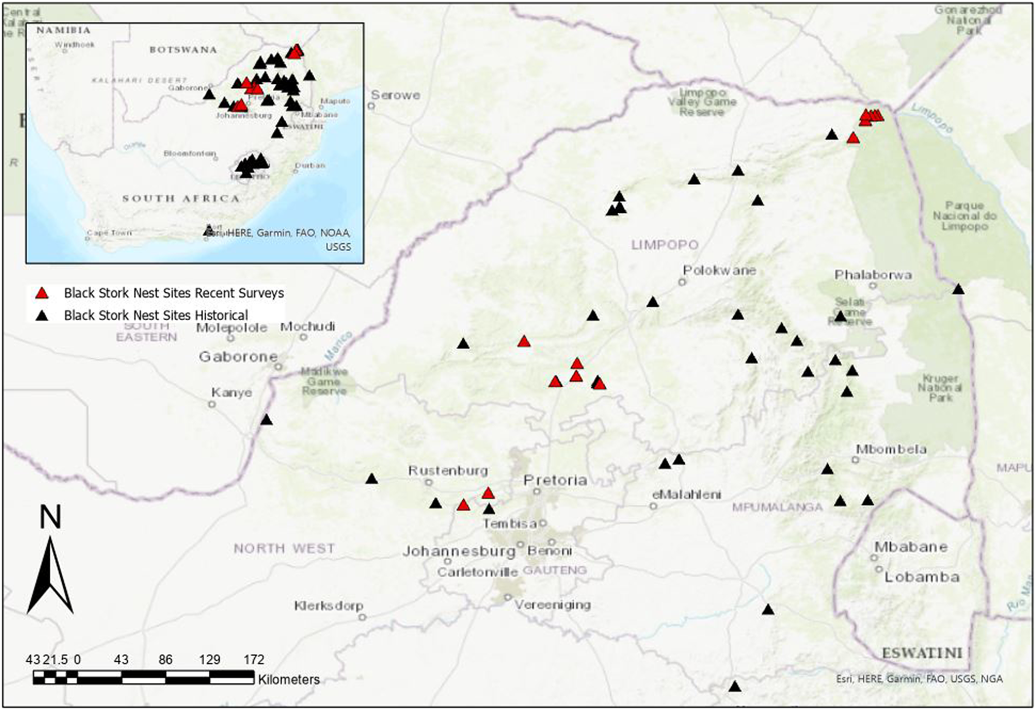 A review of the conservation status of Black Stork Ciconia nigra