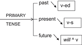 Verbal Group (Chapter 3) - Systemic Functional Grammar