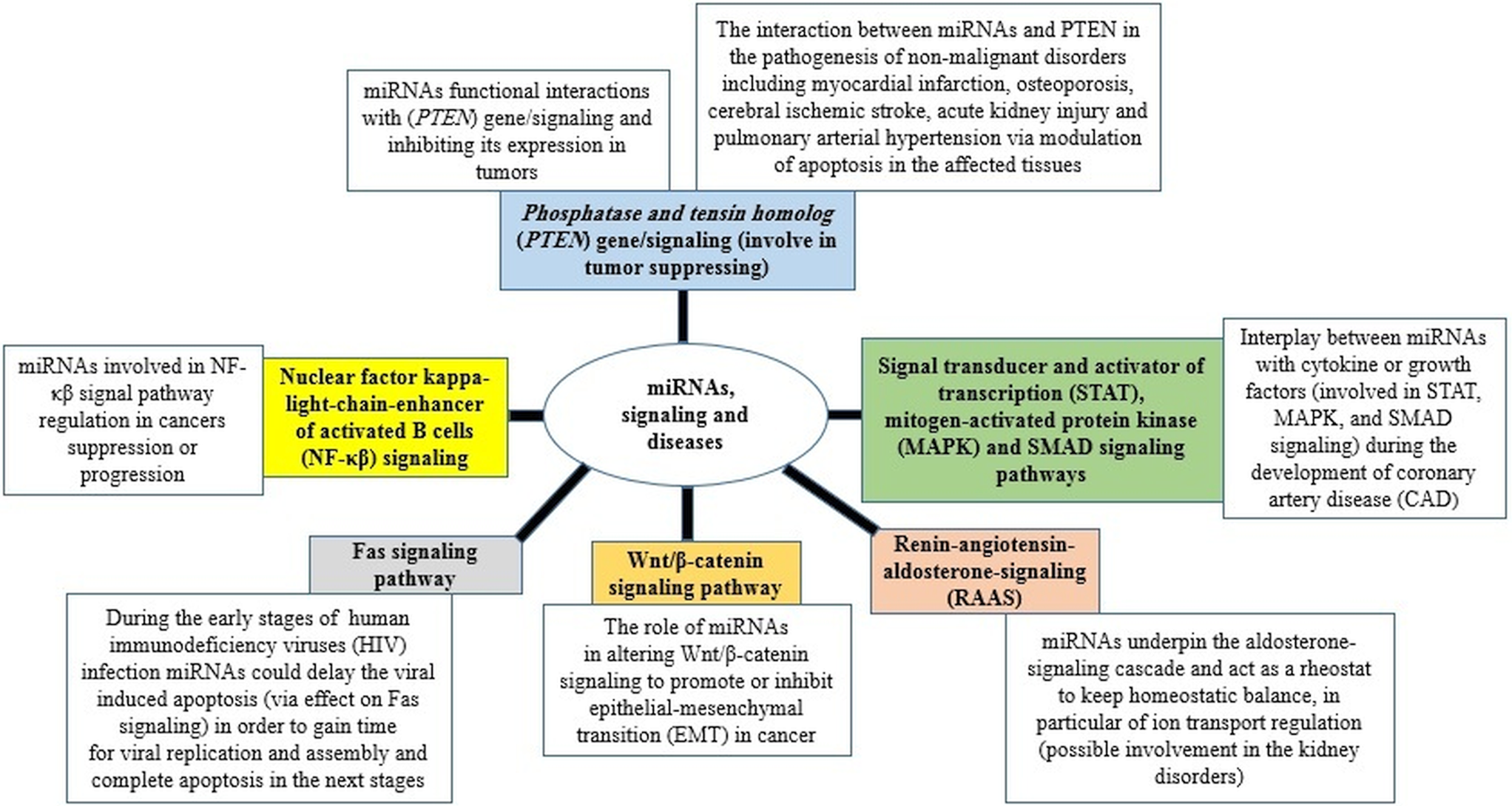 Frontiers  Comparative microRNA profiling of Trypanosoma cruzi infected  human cells