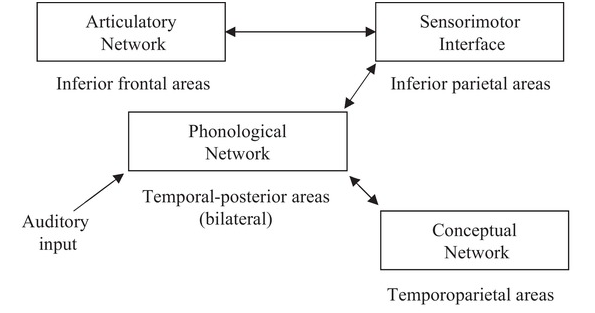 Two Languages in One Brain (Chapter 4) - Bilingualism Matters
