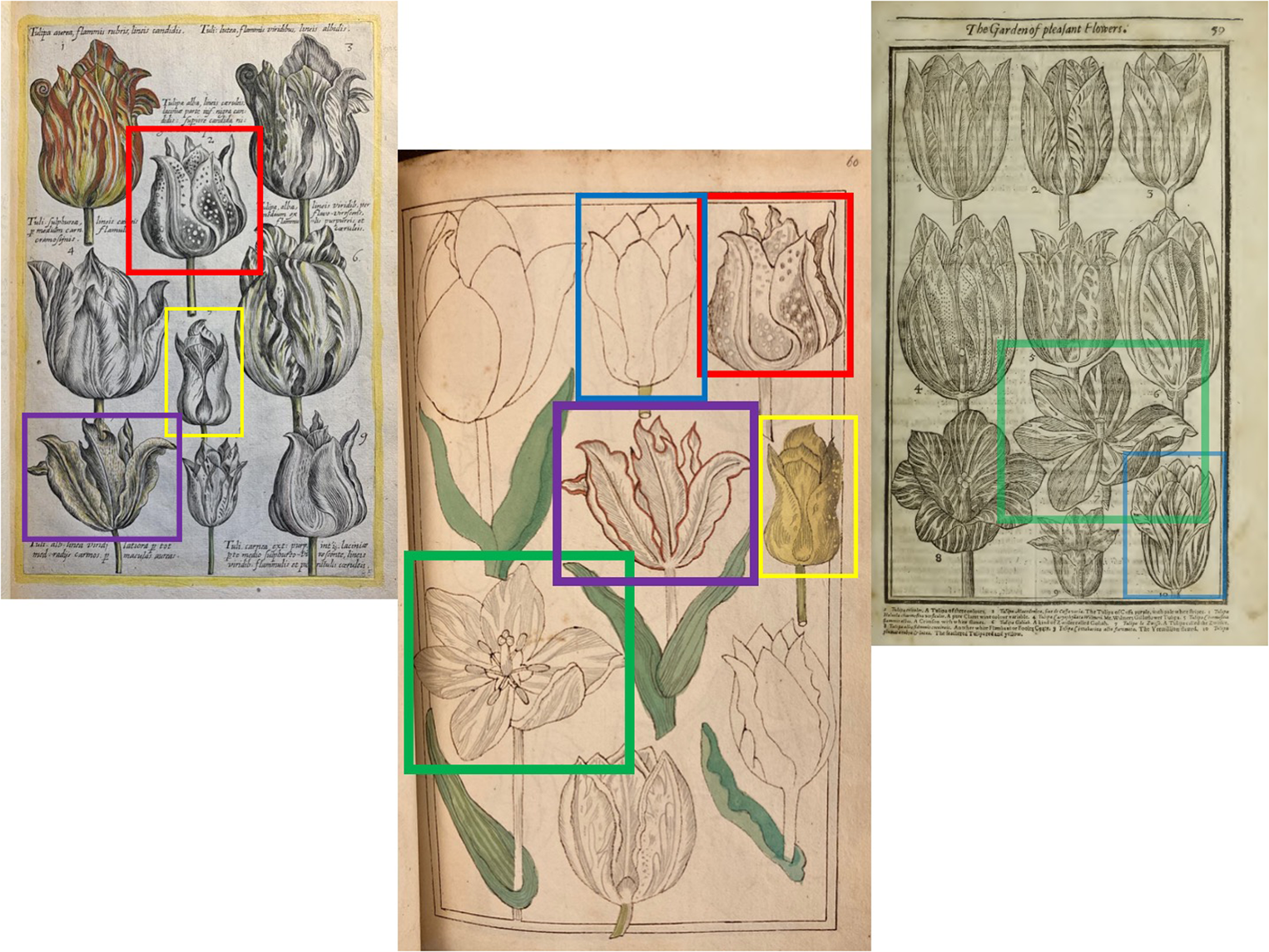 Animal Stencils: Easy and Simple Designs for First Steps in Drawing in the  Home or School - Prints and Ephemera - Huntington Digital Library