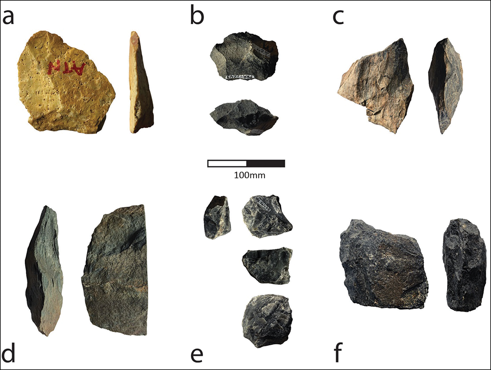 2-Million-Year-Old Stone Tools Unearthed in Tanzania, Archaeology,  Paleoanthropology