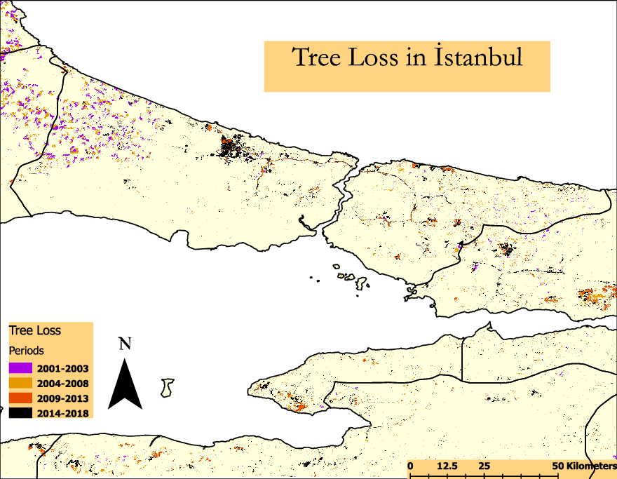 mass tourism development and deforestation in turkey