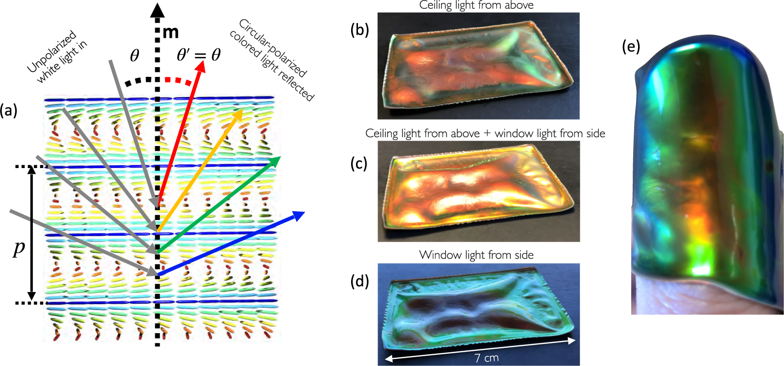 Localized soft elasticity in liquid crystal elastomers