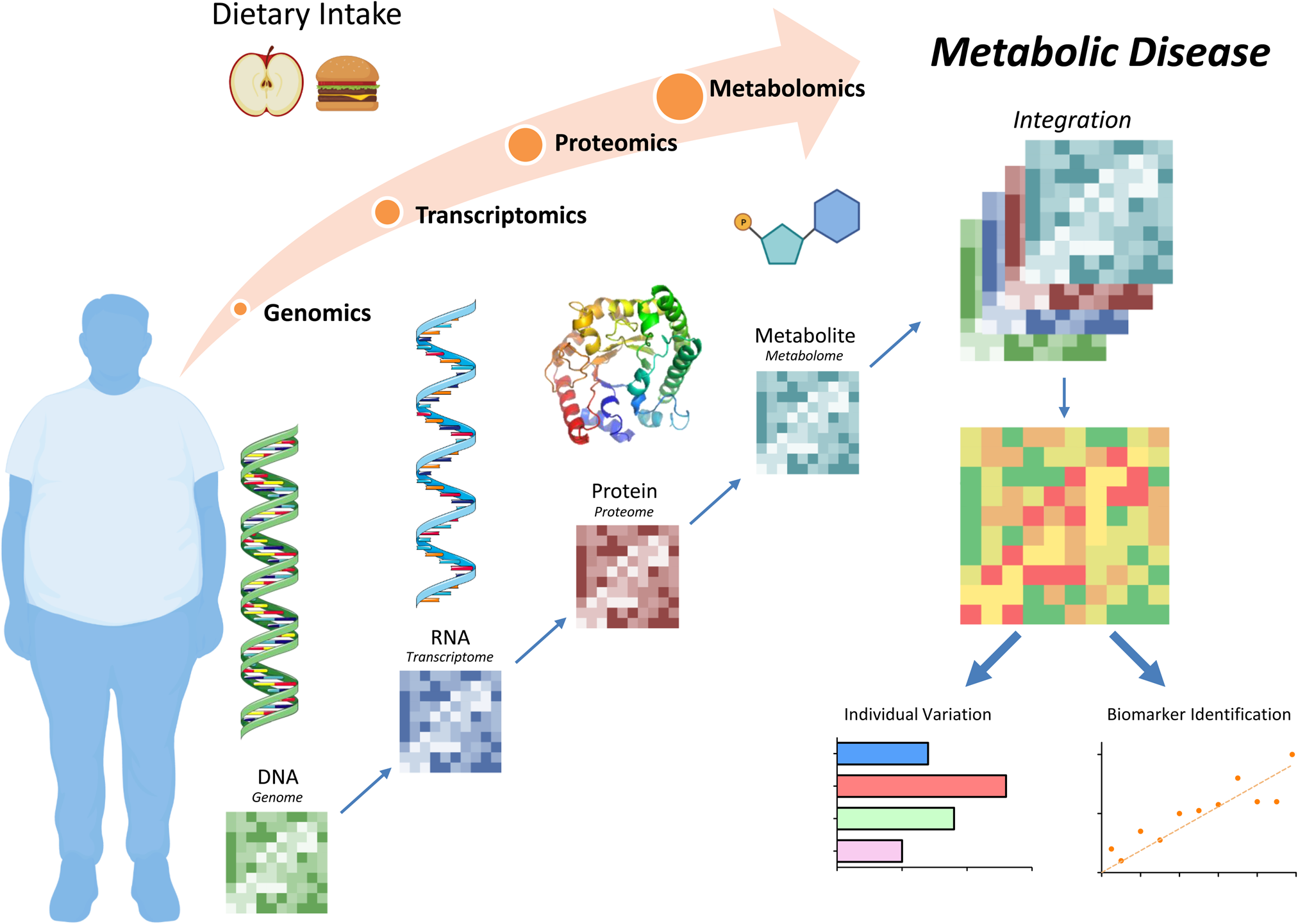 Research gaps and opportunities in precision nutrition: an NIH