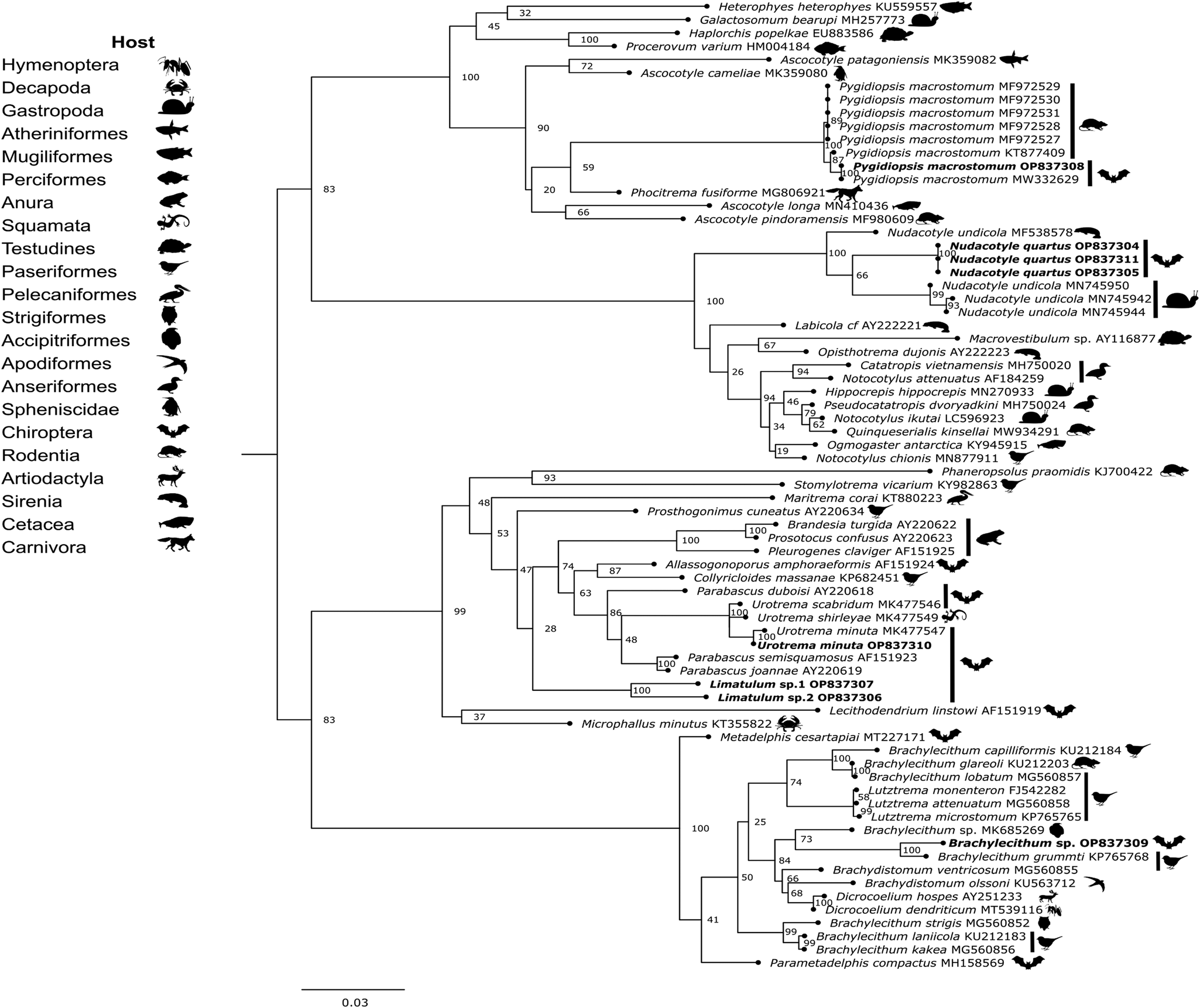 Survey On Helminths Of Bats In The Yucatan Peninsula: Infection Levels ...