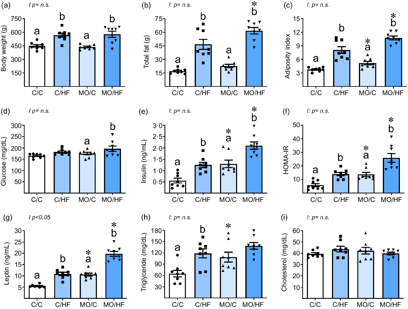 High fat diet consumption by male rat offspring of obese mothers  