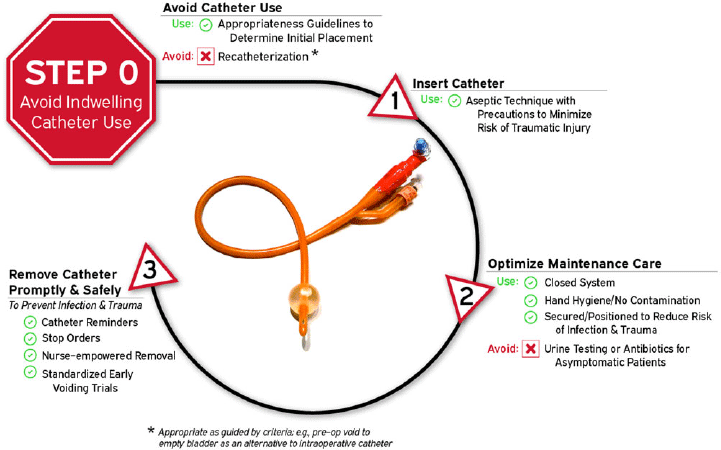 Strategies To Prevent Catheter-associated Urinary Tract Infections In ...