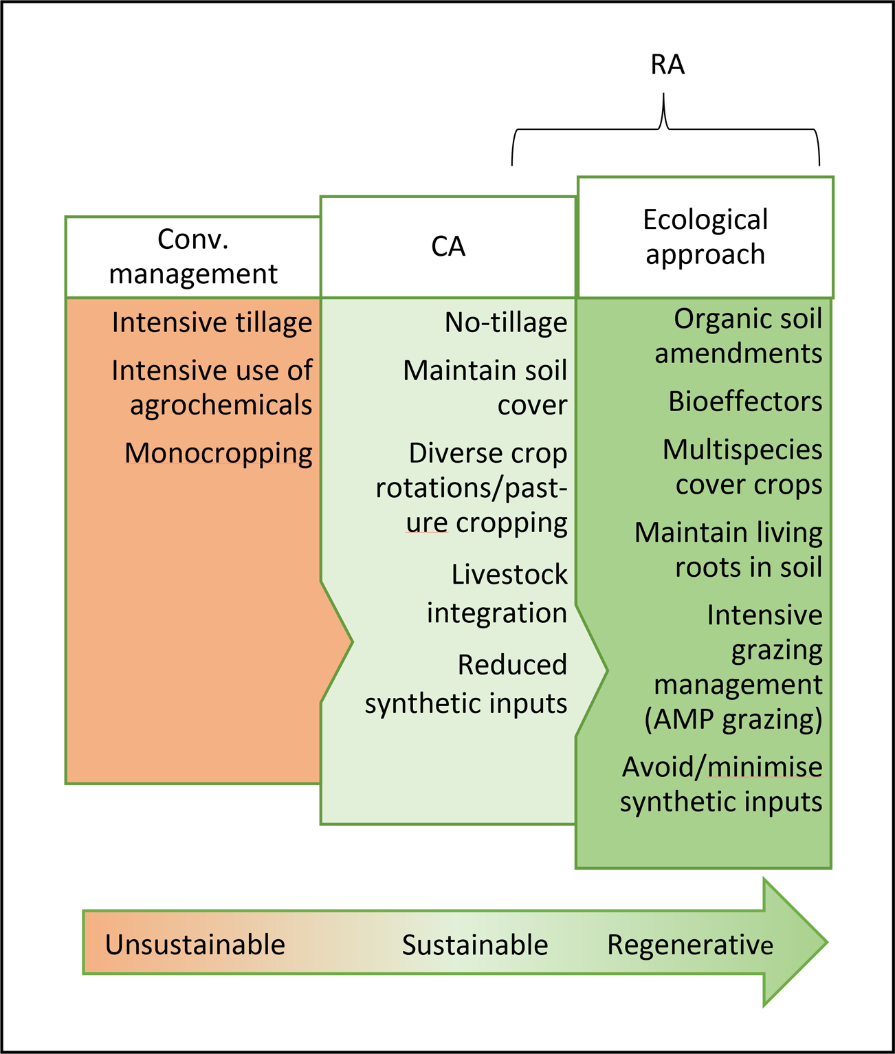 Crop cover is more important than rotational diversity for soil  multifunctionality and cereal yields in European cropping systems
