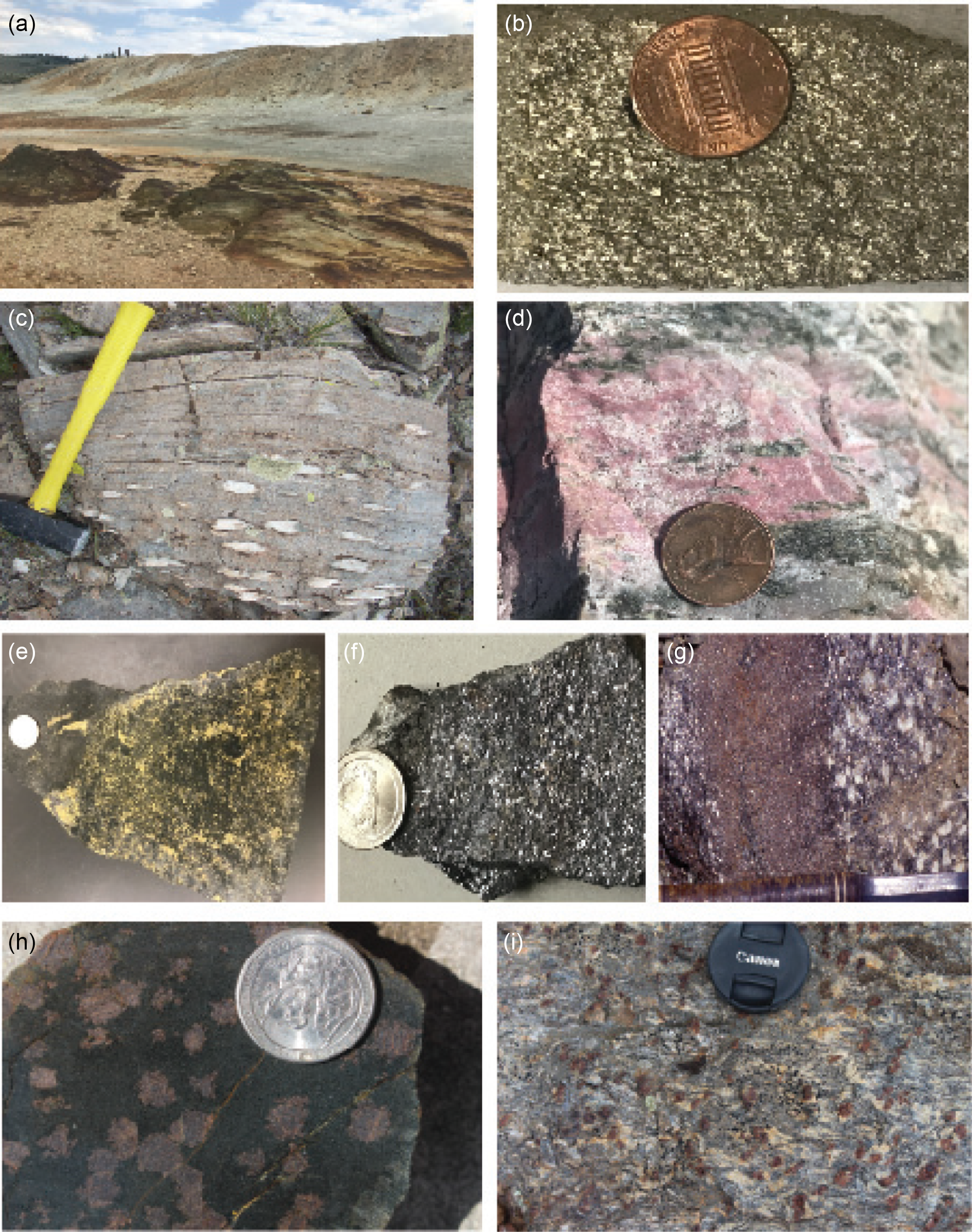 Whole-rock chemical analyses of metamafic and associated evolved