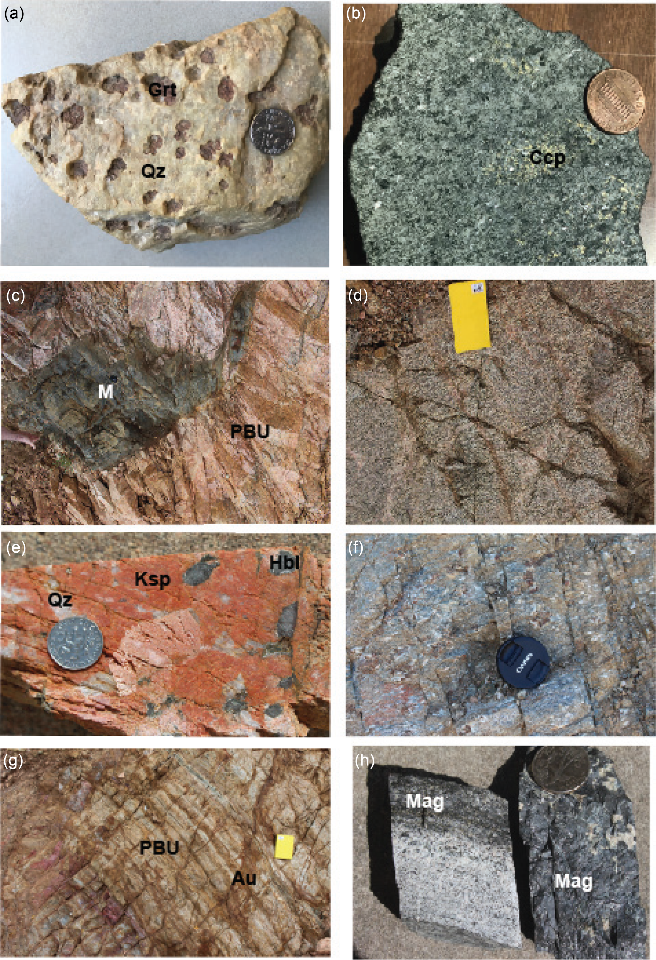 Whole-rock chemical analyses of metamafic and associated evolved