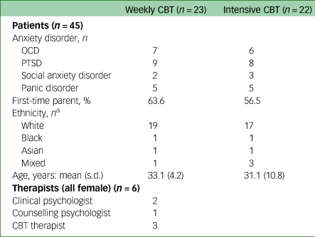 Patient and therapist experiences of exposure therapy for anxiety