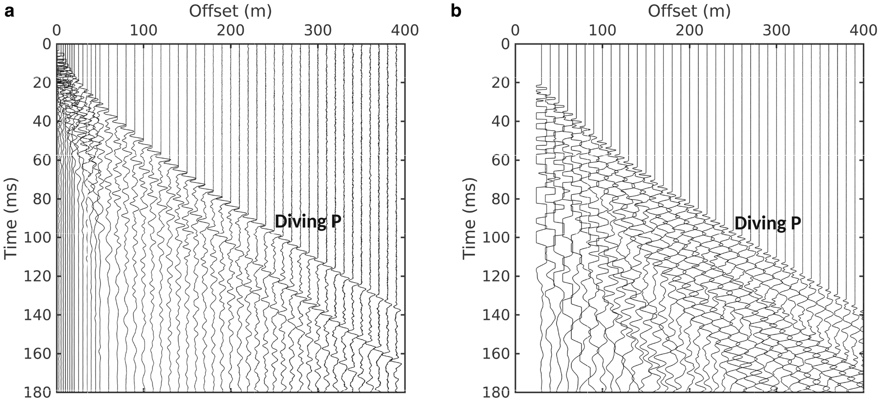 TC - Seismic attenuation in Antarctic firn