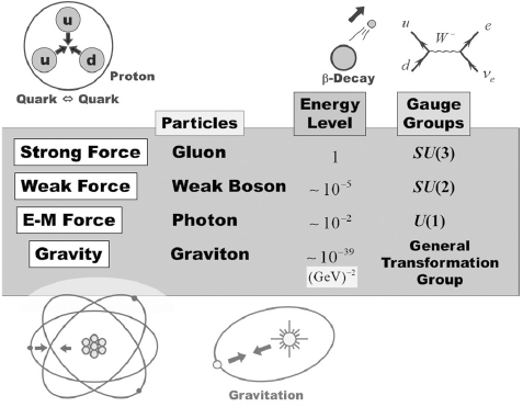 Gauge Field Theory of Dislocations and Defects (Chapter 7) - Field