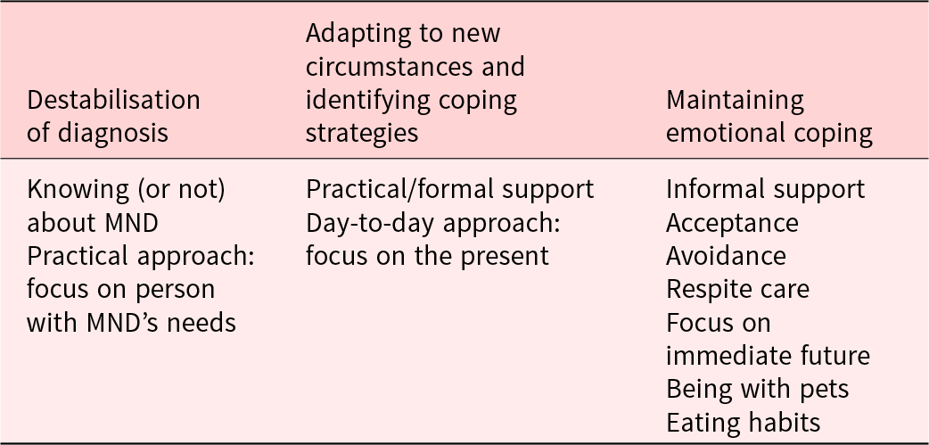 Support for Young Adults: Strategies and Approaches that Focus on