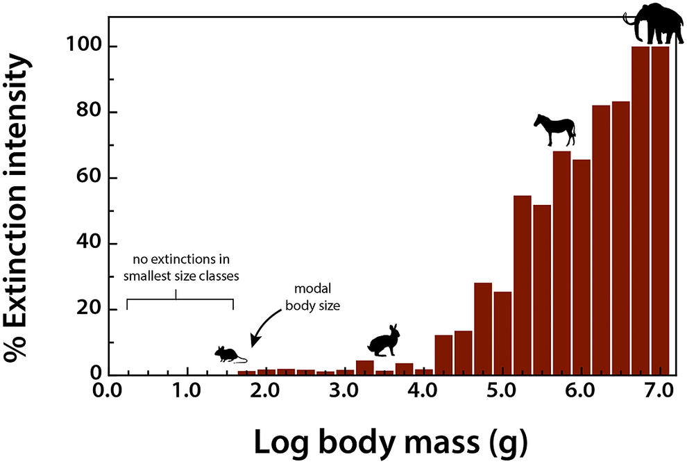 After The Mammoths: The Ecological Legacy Of Late Pleistocene Megafauna ...