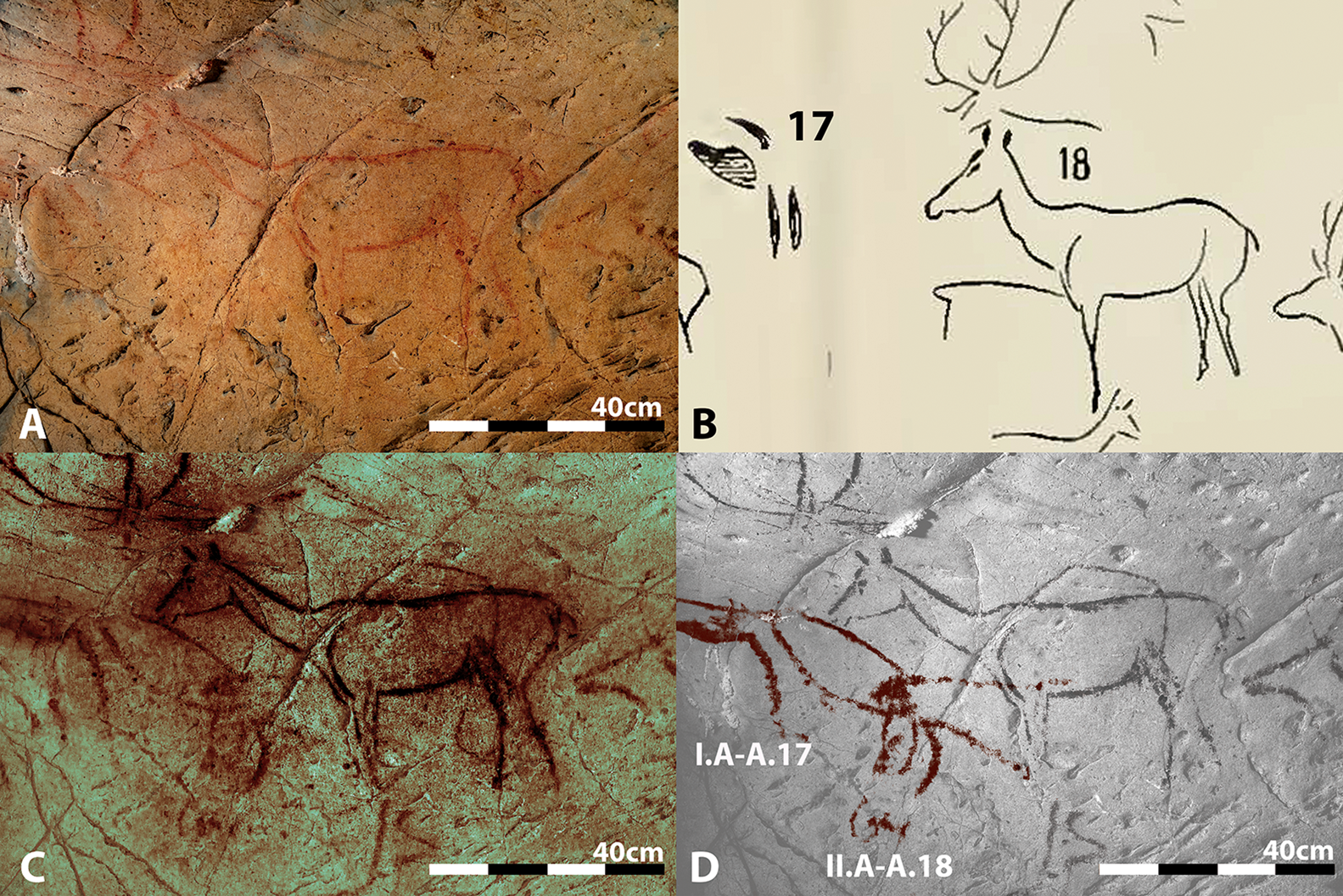 Animals hidden in plain sight: stereoscopic recording of Palaeolithic rock  art at La Pasiega cave, Cantabria, Antiquity