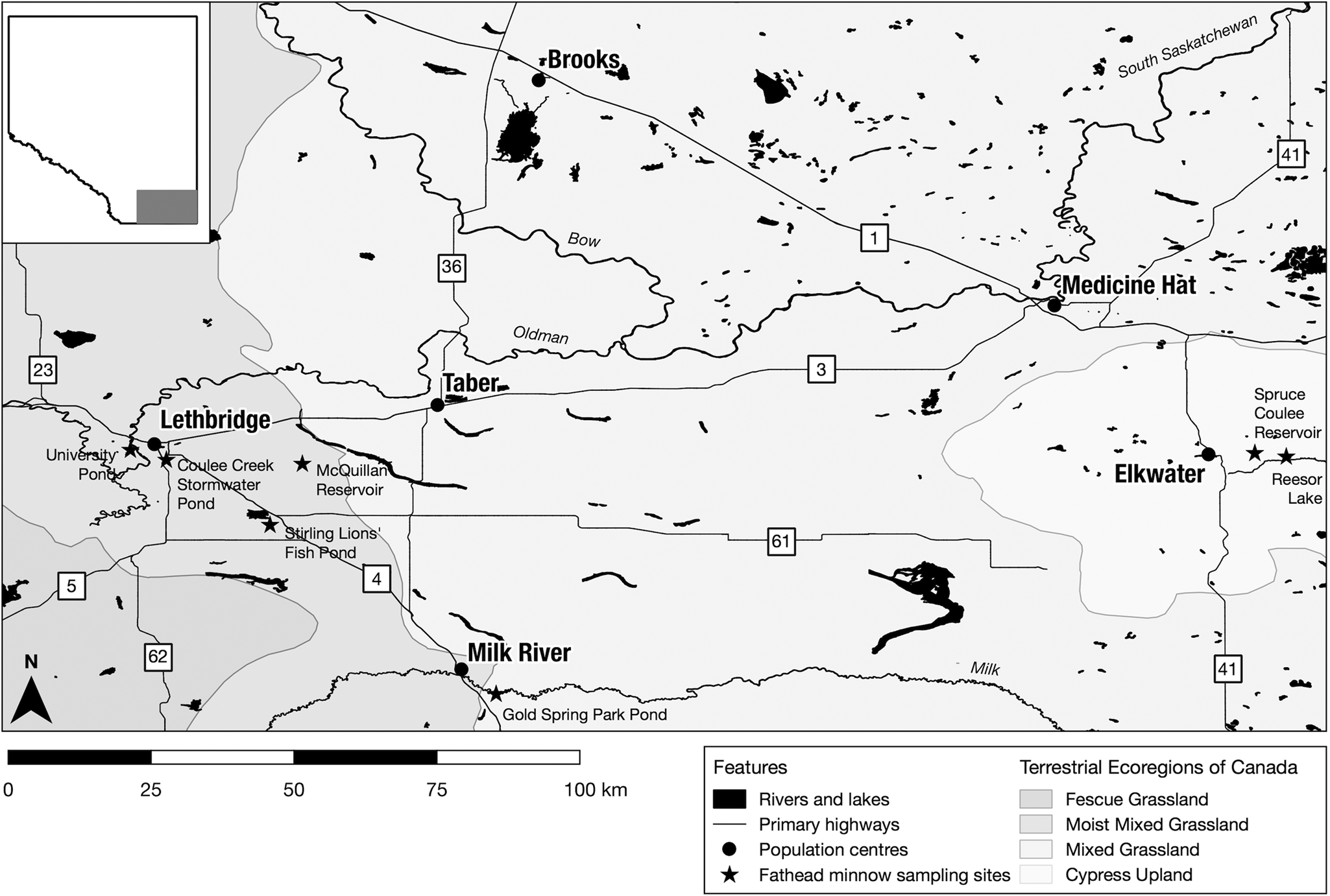 A congeneric and non-randomly associated pair of larval trematodes  dominates the assemblage of co-infecting parasites in fathead minnows  (Pimephales promelas) | Parasitology | Cambridge Core