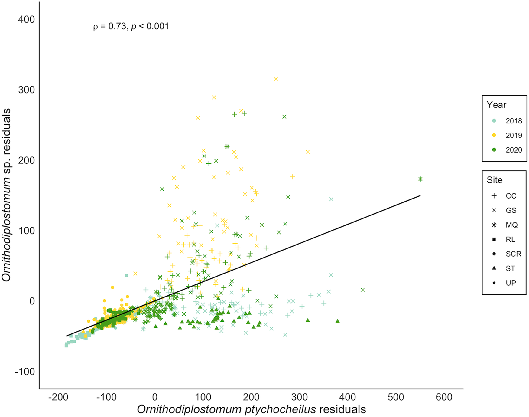 A congeneric and non-randomly associated pair of larval trematodes  dominates the assemblage of co-infecting parasites in fathead minnows  (Pimephales promelas) | Parasitology | Cambridge Core