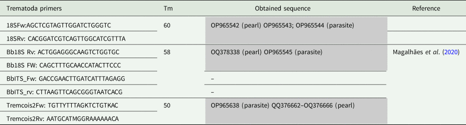 Bactofil Perles. Production explosive de racines