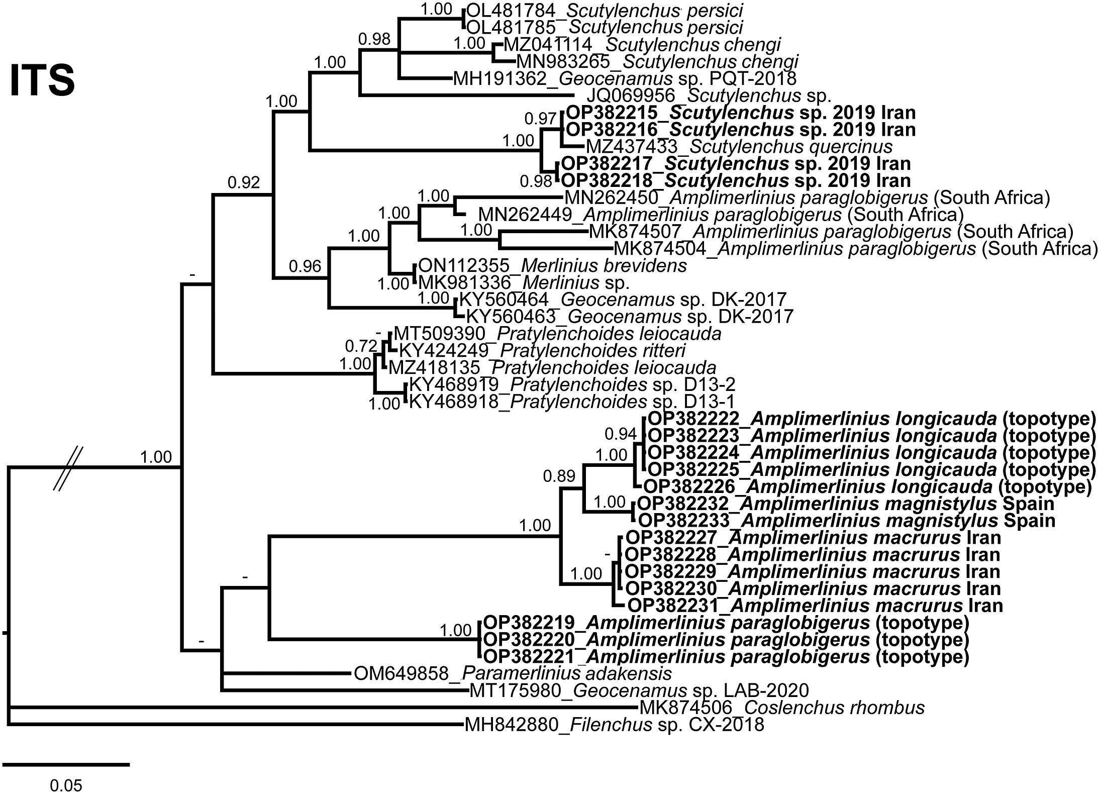 Majority-rule consensus tree reconstructed through BI based on the