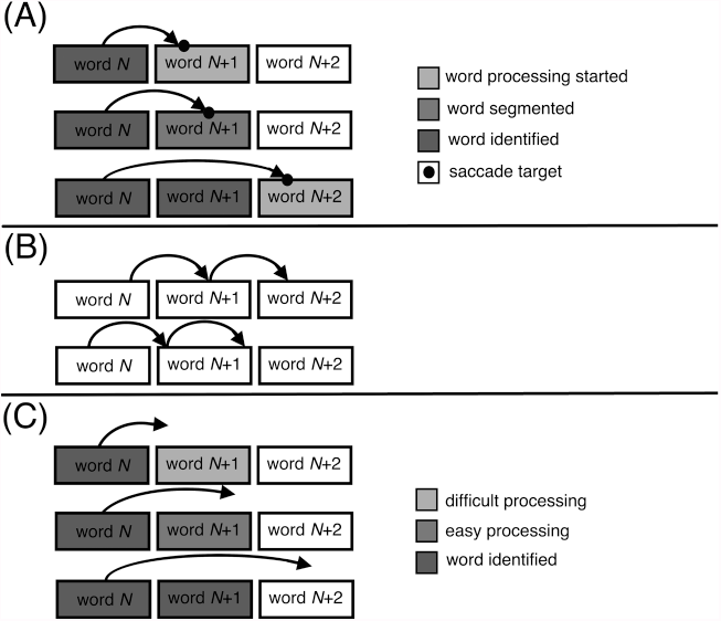 Skilled Reading (Chapter 4) - The Psychology of Reading