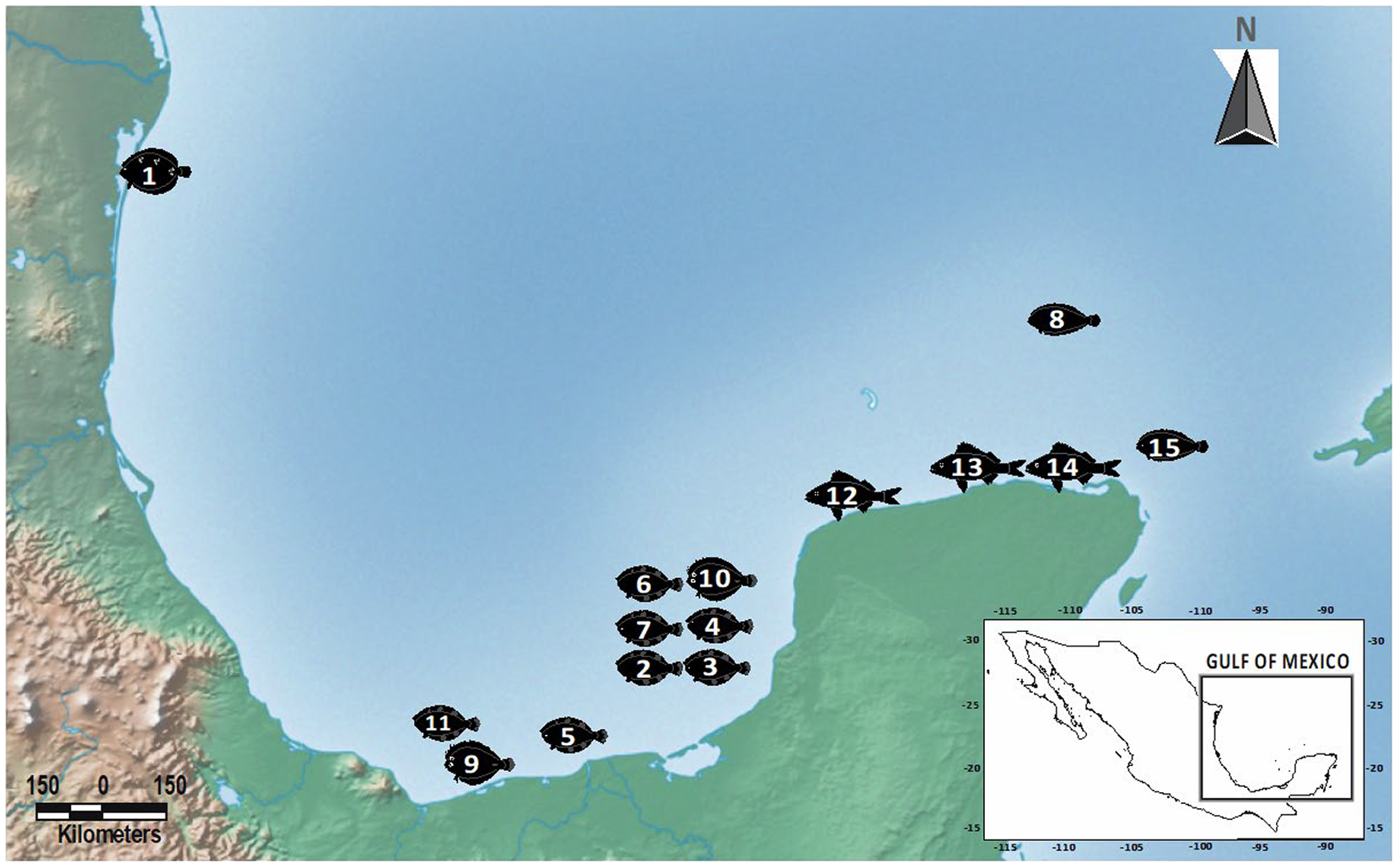 Hook-N-Line F115 Lower Laguna Madre Fishing Map