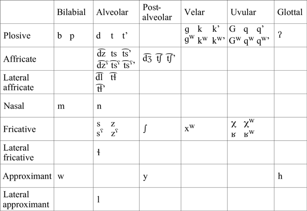 A phonetic case study of Tŝilhqot’in /z/ and /zʕ/ | Journal of the ...