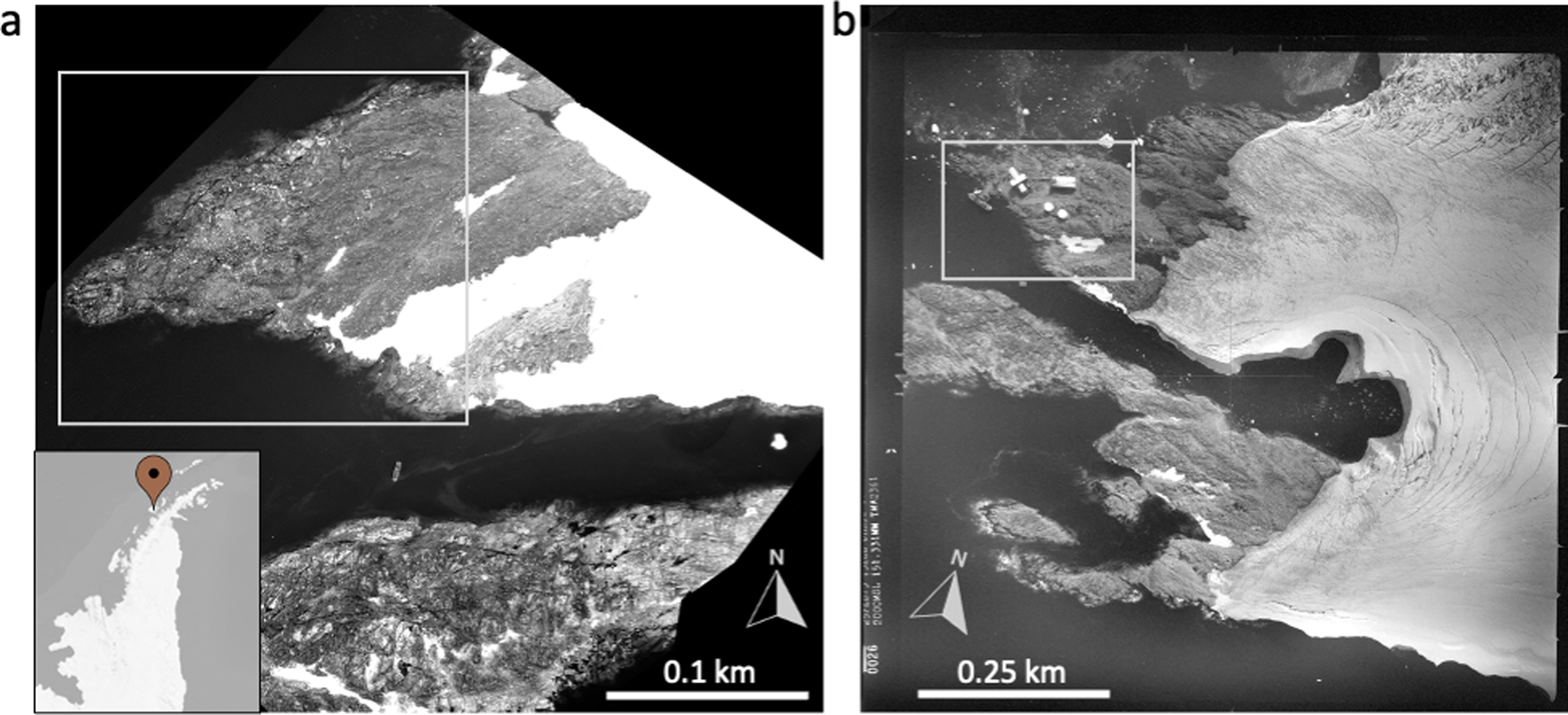 Sixty years of glacial retreat behind Palmer Station, Antarctica