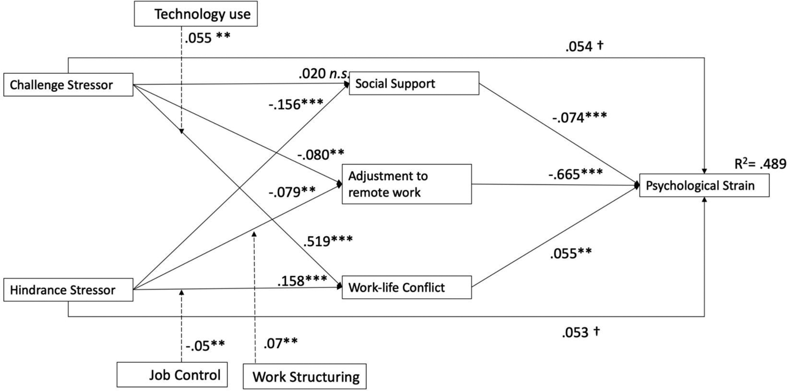 Understanding stressor–strain relationships during the COVID-19 pandemic:  the role of social support, adjustment to remote work, and work–life  conflict, Journal of Management & Organization